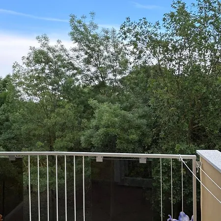 Pinetina Mare Baby Family ホテル ピナレッラ