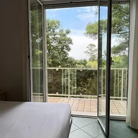 Pinetina Mare Baby Family