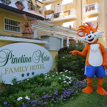 호텔 Pinetina Mare Baby Family 3*